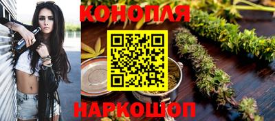 jwh Камышлов